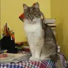 Отзыв от Софья Панкратова